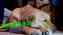 小七获得奥斯卡最佳男主