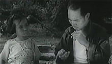 渔岛之子
