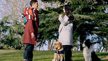 艾亮求婚丁涵成功终成眷属