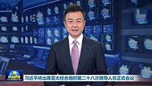 习近平将出席亚太经合组织第二十八次领导人非正式会议