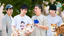 动物园2第14期：蘑菇屋的劝学