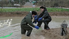 石凯庞博文韬浑水中艰难摸鱼