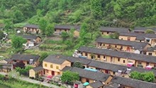 Stories about President Xi Jinping and farmers