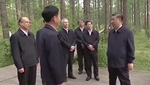 Greening the forest farm Stories about President Xi and Saihanba