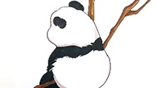 眺望远方